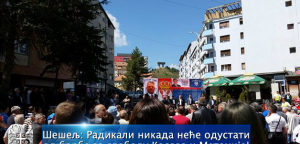 Šešelj: Radikali nikada neće odustati od borbe za slobodu Kosova i Metohije!