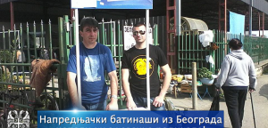 Naprednjački batinaši iz Beograda napali knjaževačke radikale!