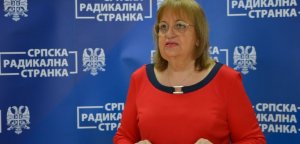 Radeta: Potrebna izmena porodičnog zakona i veća zaštita dece